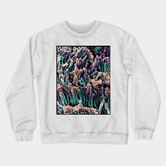 Coloured SEM of rod cells in the retina of the eye (P424/0124) Crewneck Sweatshirt by SciencePhoto